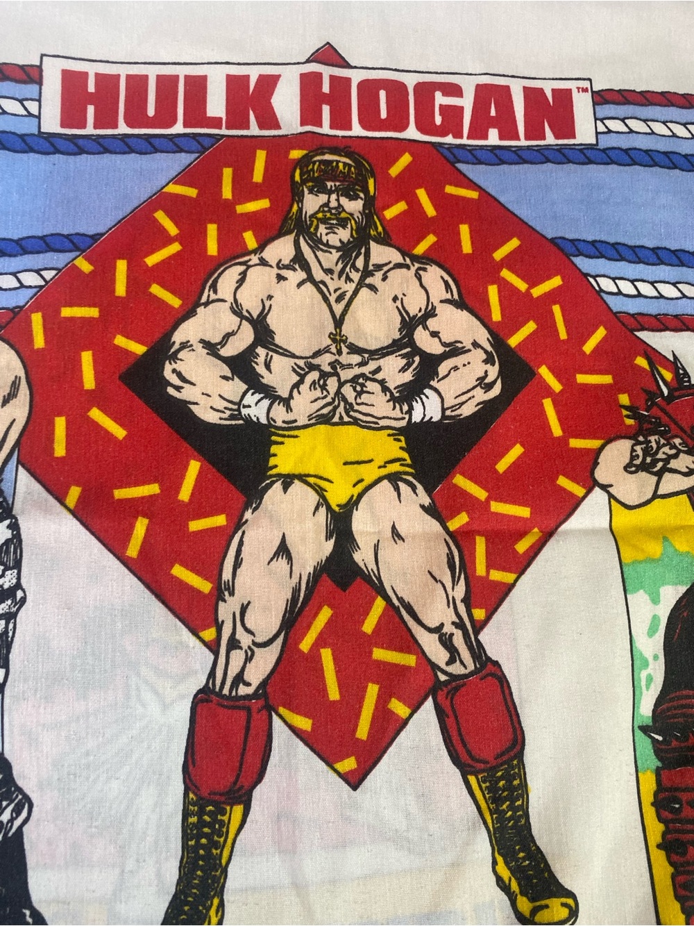 Vintage WWF wrestling bed sheet set - Picture 3 of 10